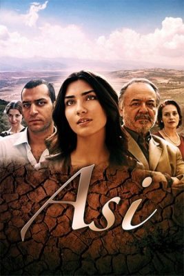 аси турецкий сериал на русском языке смотреть онлайн бесплатно все серии в хорошем качестве