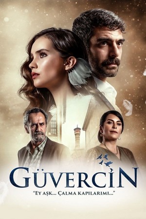 голубка турецкий сериал на русском языке все серии смотреть онлайн бесплатно в хорошем качестве 