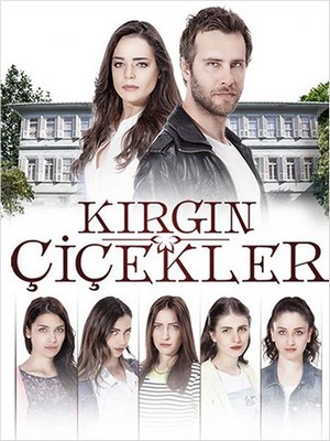 обиженные цветы турецкий сериал на русском языке все серии смотреть онлайн бесплатно в хорошем