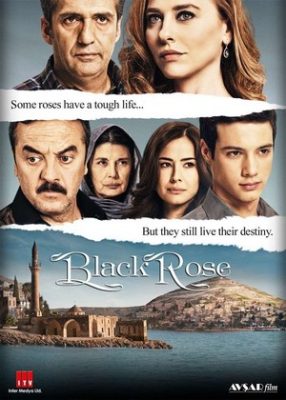 чёрный цветок турецкий сериал на русском языке все серии подряд смотреть онлайн бесплатно в хорошем качестве