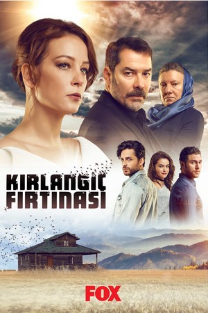 шторм ласточки турецкий сериал на русском языке все серии смотреть онлайн бесплатно в хорошем качестве