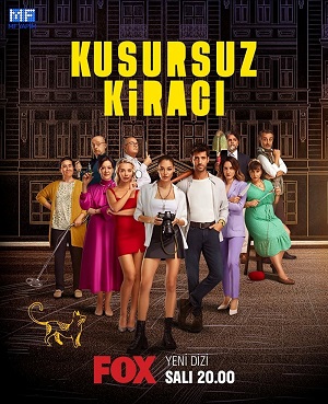 идеальный арендатор турецкий сериал смотреть онлайн на русском языке бесплатно в хорошем качестве