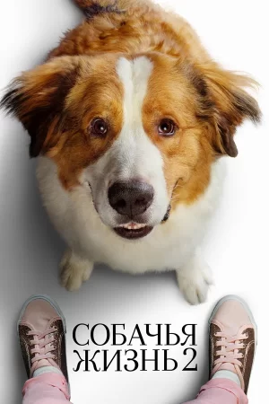 собачья жизнь 2 фильм 2019 смотреть онлайн бесплатно в хорошем качестве на русском языке полностью
