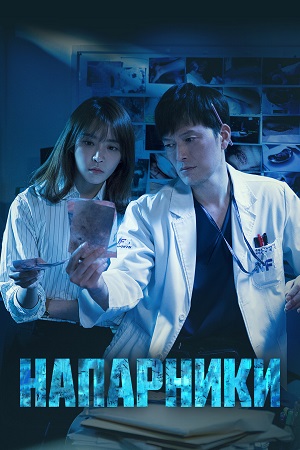 напарники сериал 2019 корея